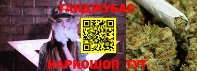 гашик Новокубанск
