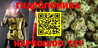 гашик Новокубанск