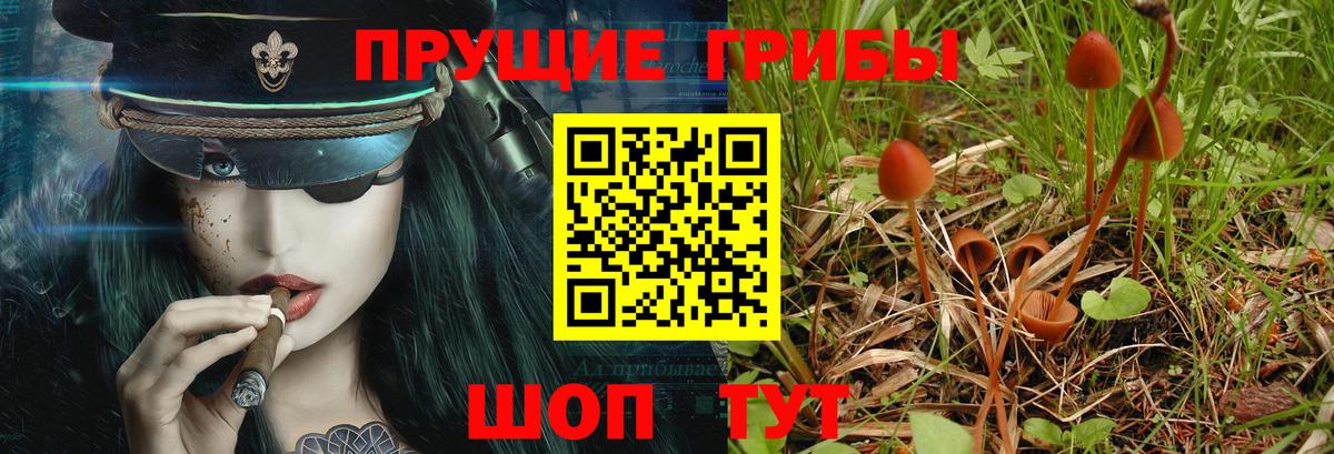 Галлюциногенные грибы ЛСД  Вход с VPN  Спасск-Дальний 